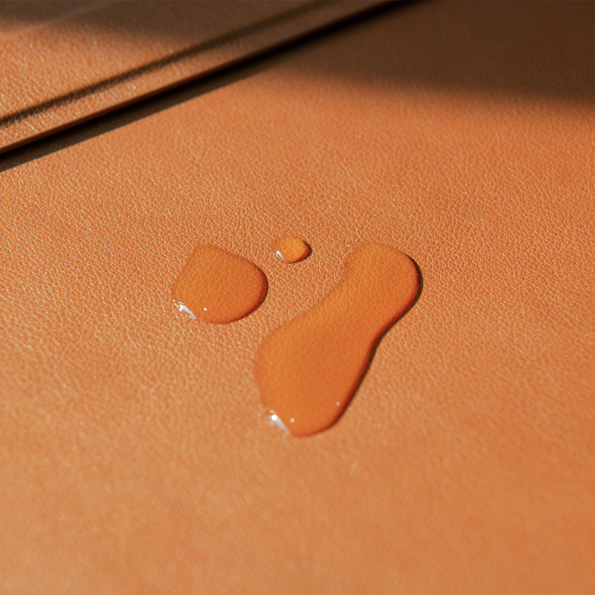 Valentinus Laptop Pouch