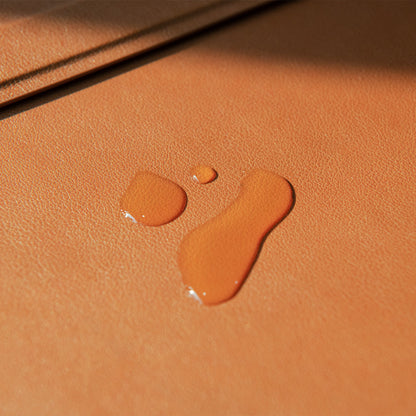 Valentinus Laptop Pouch