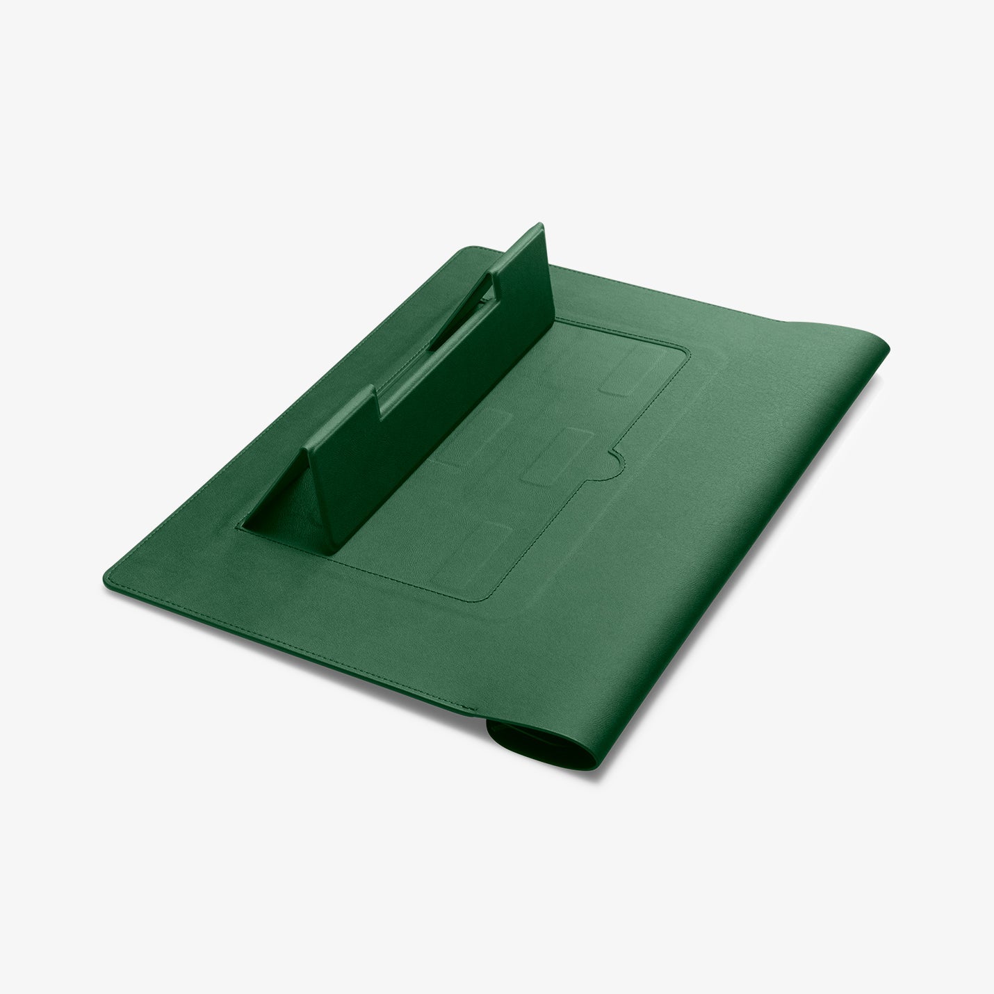 Valentinus S Laptop Pouch