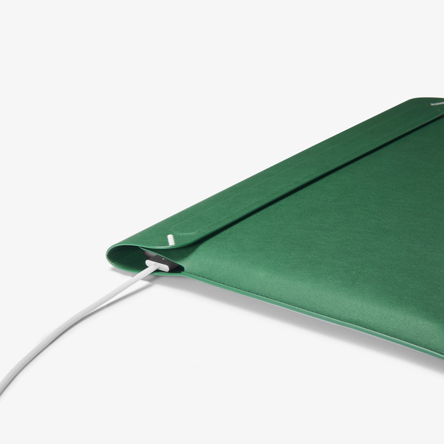 Valentinus S Laptop Pouch